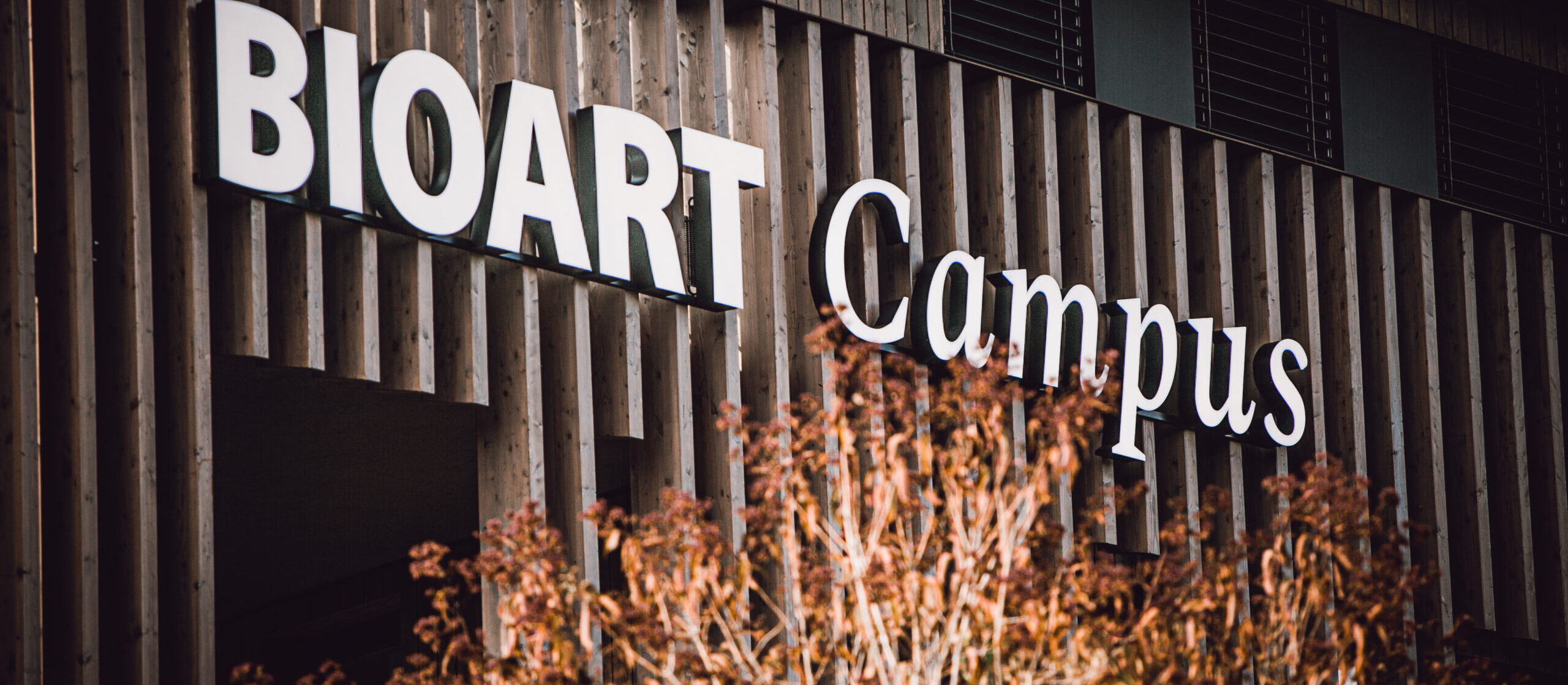 Bio Art Campus Herbst 32